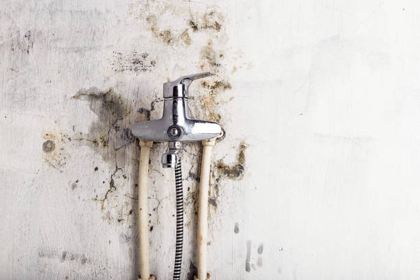 Best Water Damage Restoration  in Lawrenceburg, TN