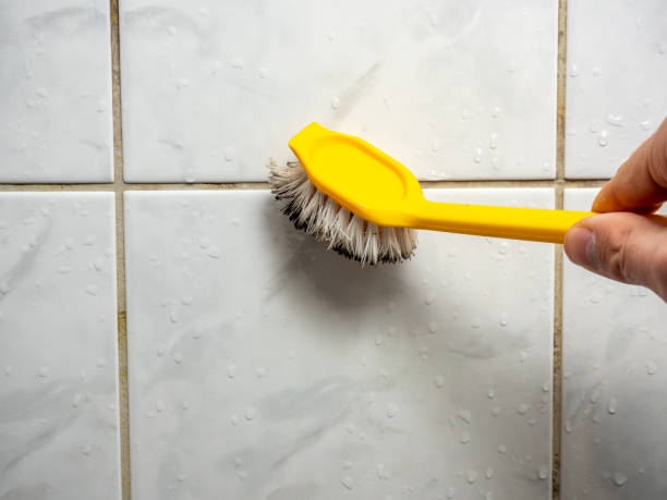 Mold Removal and Inspection in Lawrenceburg, TN