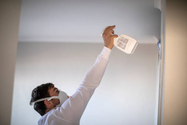 Best Home Mold Removal  in Lawrenceburg, TN