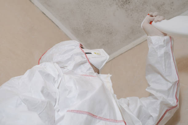 Best Commercial Mold Removal  in Lawrenceburg, TN