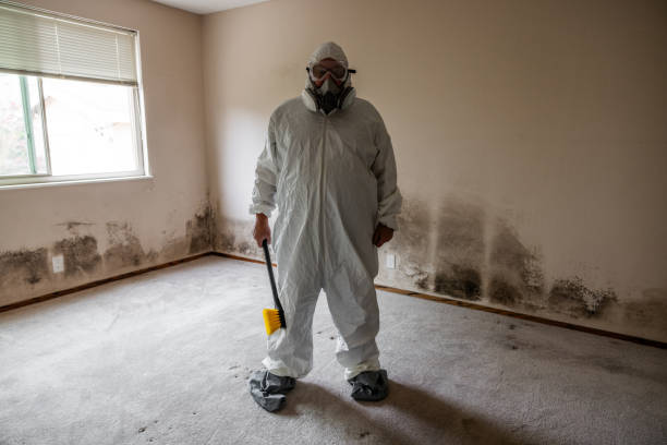 Best Attic Mold Removal  in Lawrenceburg, TN